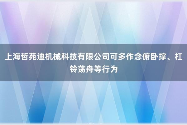 上海哲苑迪机械科技有限公司可多作念俯卧撑、杠铃荡舟等行为